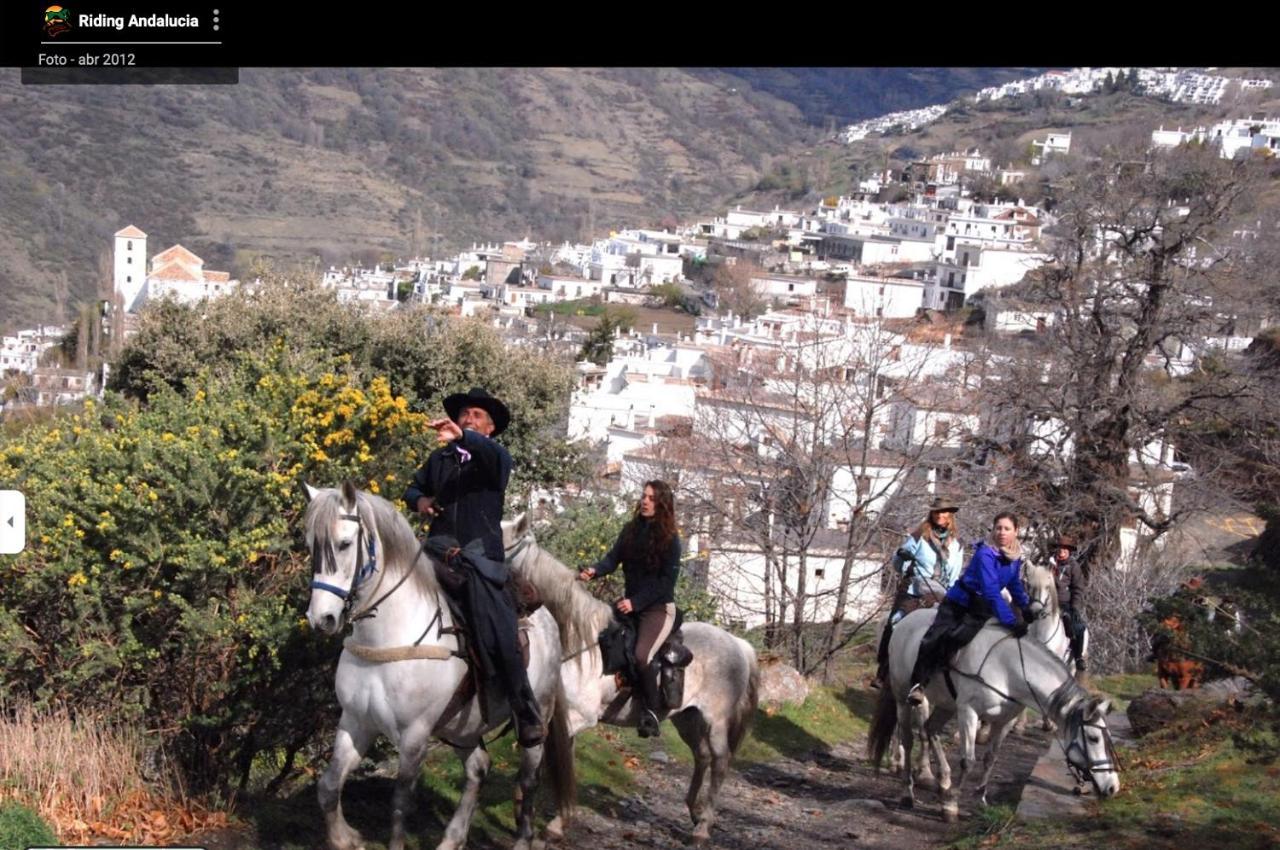 Appartamento El Nogal Bubión Esterno foto